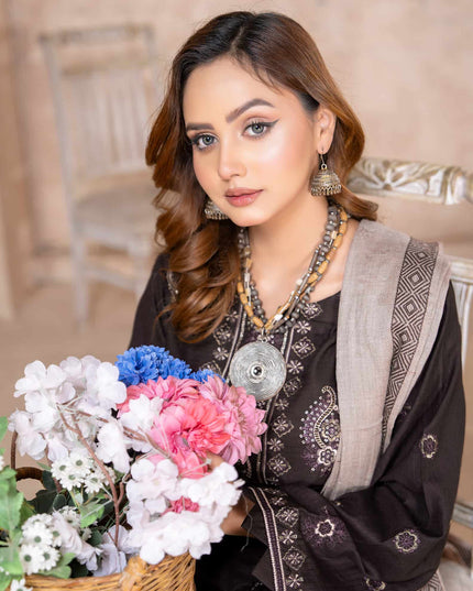 Seasonal - Dhanak With Pashmina Shawl - 3pc