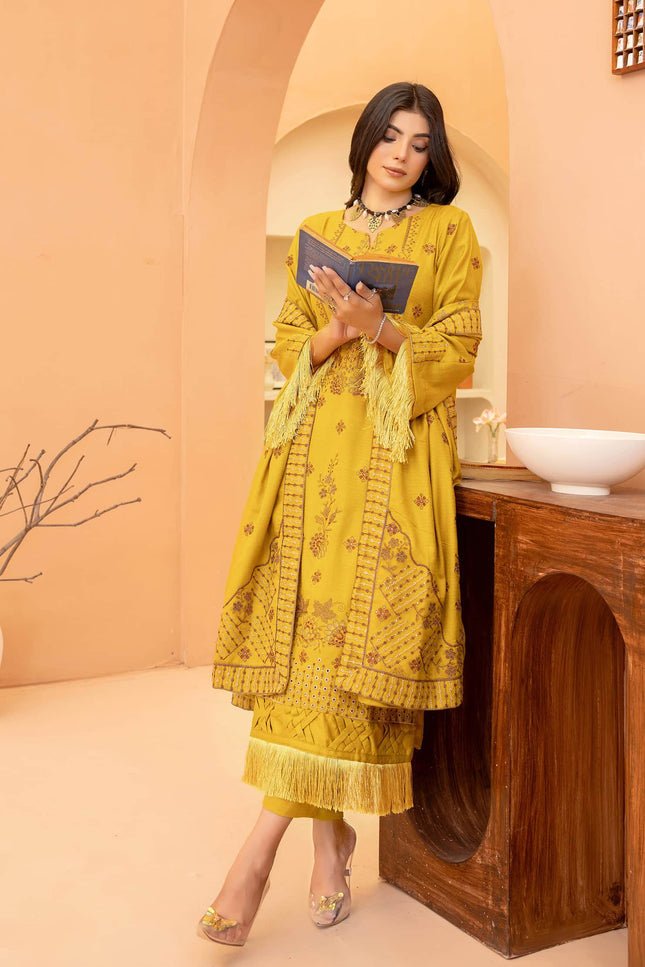 Seasonal 3Pc - Embroidered Dhanak Dress